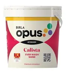 Caslista Ever Wash  Shine