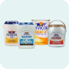 fevicol